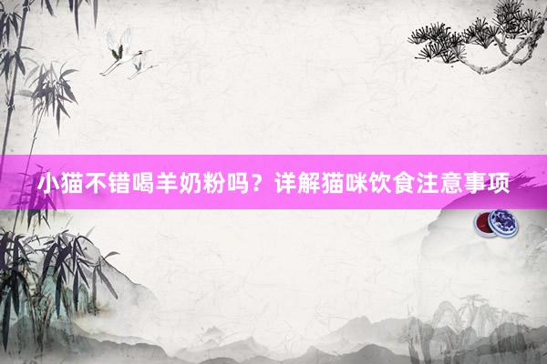 小猫不错喝羊奶粉吗？详解猫咪饮食注意事项